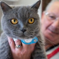 A cat with Bridget, a very caring woman who has worked at Snowlandia for years.