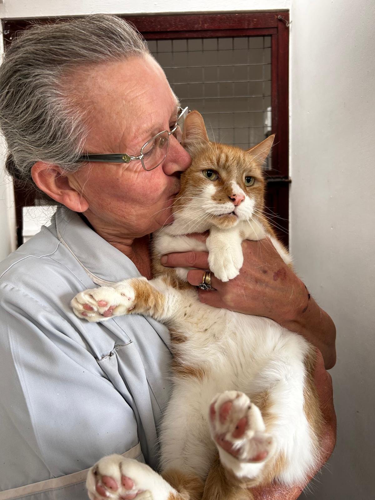 Cat reunited